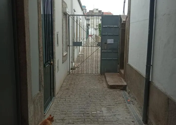 Lovely Terrace Studio アパート