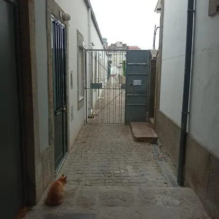 Lovely Terrace Studio 公寓